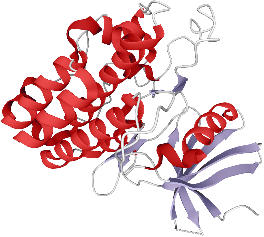 Cellular growth graphic